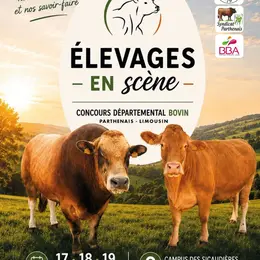 Elevages en scène - Concours départemental bovin