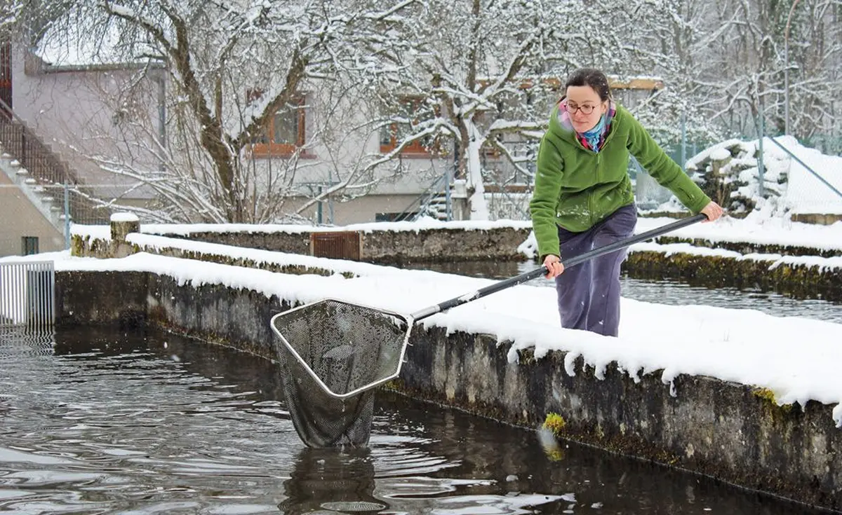 Nathalie Guidat nous attrape quelques truites sous la neige : c'est vraiment de l'extra-frais !