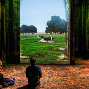 Elles vivent, une comédie absurde au Théâtre Silvia Monfort