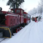 Embarquez dans le Train du Père Noël : une expérience magique au Parc des Combes