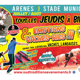 Emotions et vacheries !