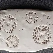 Empreintes végétales sur argile