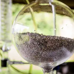 En Coulisse, Visite Besplas, Parfums Et Savoir-Faire De La Lavande