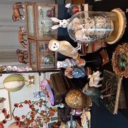 En coulisses - Découvrez les coulisses de l'atelier de CAROLE LE BOLLOC'H