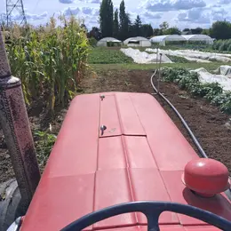 En coulisses - Découvrez les coulisses de LA BÊCHE À MEL