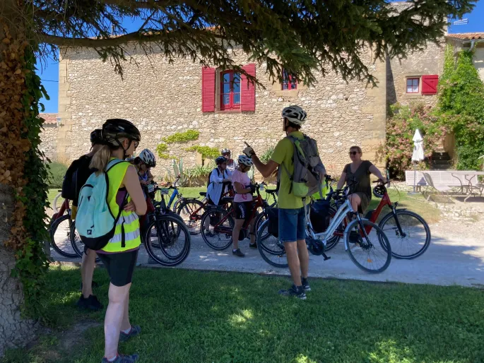 En vélo dans les vignes !