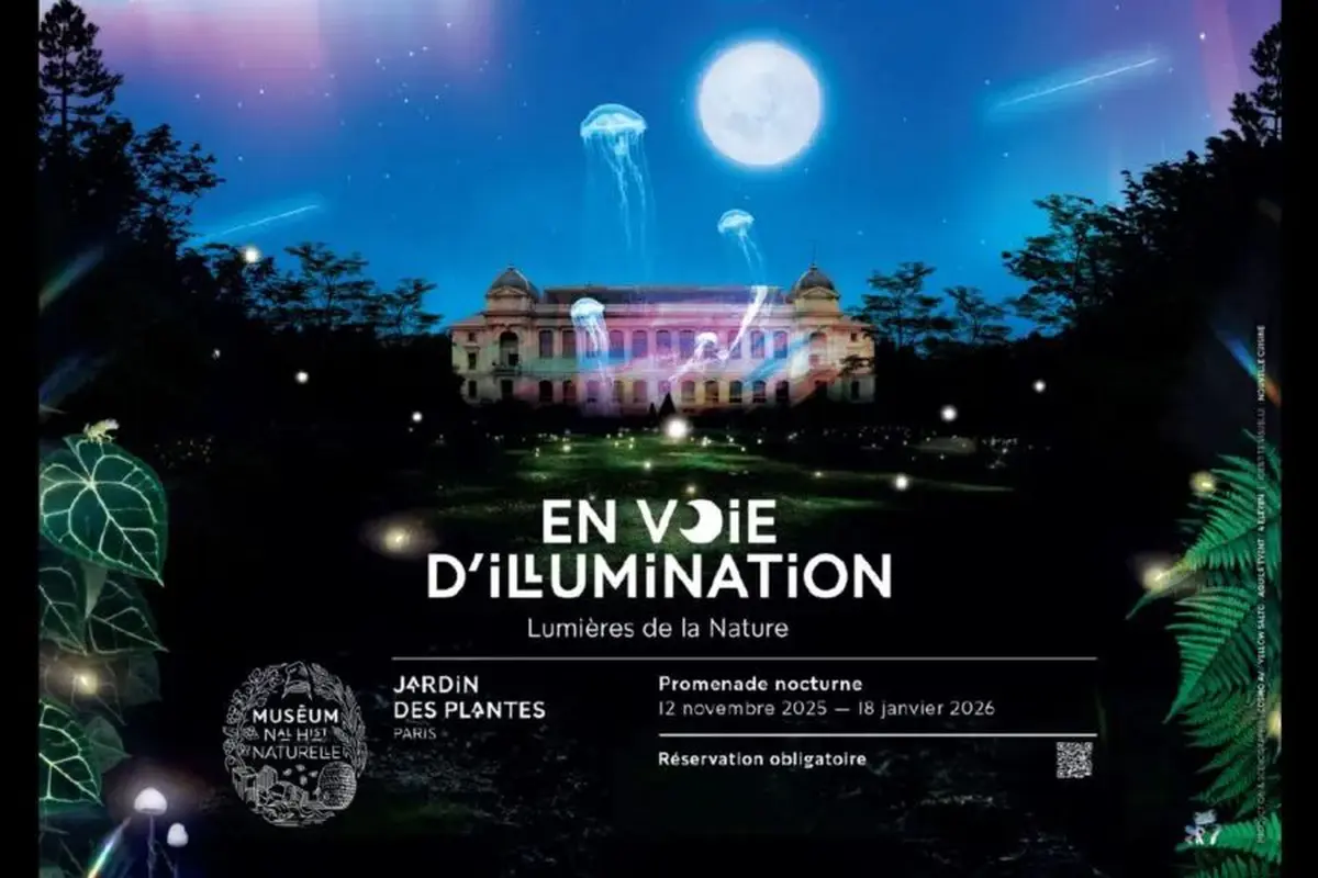 En voie d'illumination : édition 2025/2026