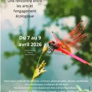 Enchanter le Ruisseau des Corneilles