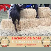 Encierro de Noël