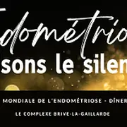 Endométriose, brisons le silence , diner-spectacle (Complexe)