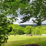 Endurance équestre En Montagne Noire