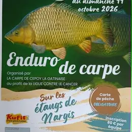 Enduro de carpe