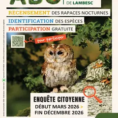 Enquête citoyenne : rapaces nocturnes