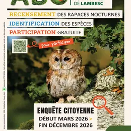 Enquête citoyenne : rapaces nocturnes