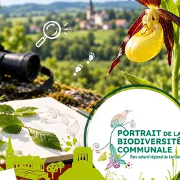 Enquête Nature - Ouvrez l'oeil ! Une balade à la découverte de la biodiversité de Choloy-Ménillot