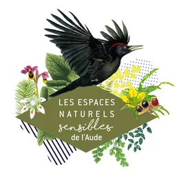 Ens - à L'écoute Des Animaux De La Nuit