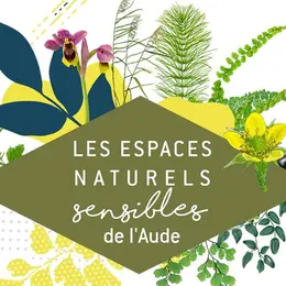 Ens - A La Recherche De La Crapaudine