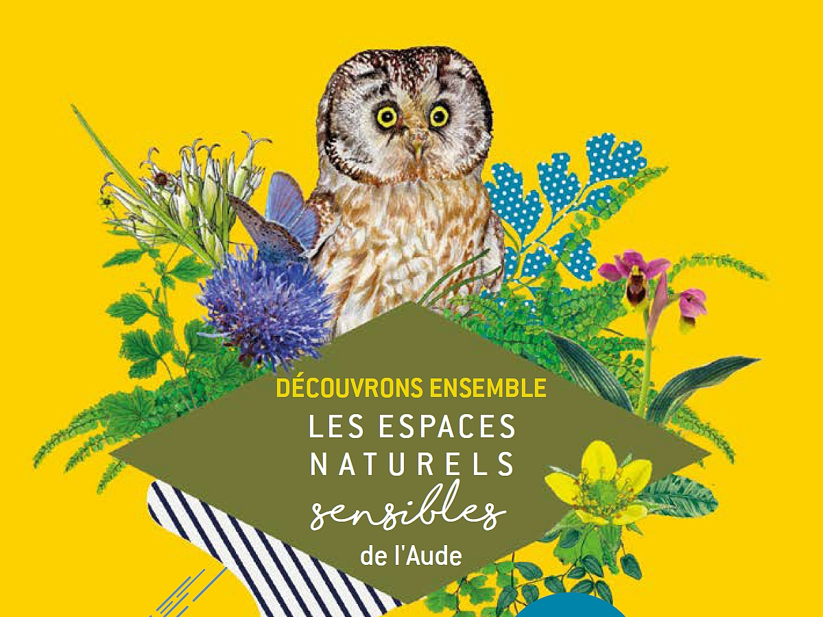 Ens - Chauve-Souris Et Ciel étoilé : Cocktail Nocturne De Rêve !