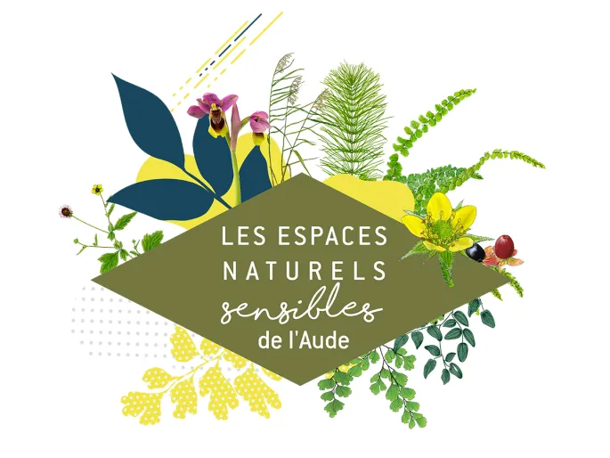 Ens - Des Oiseaux, Des Vignes Et Des Troupeaux