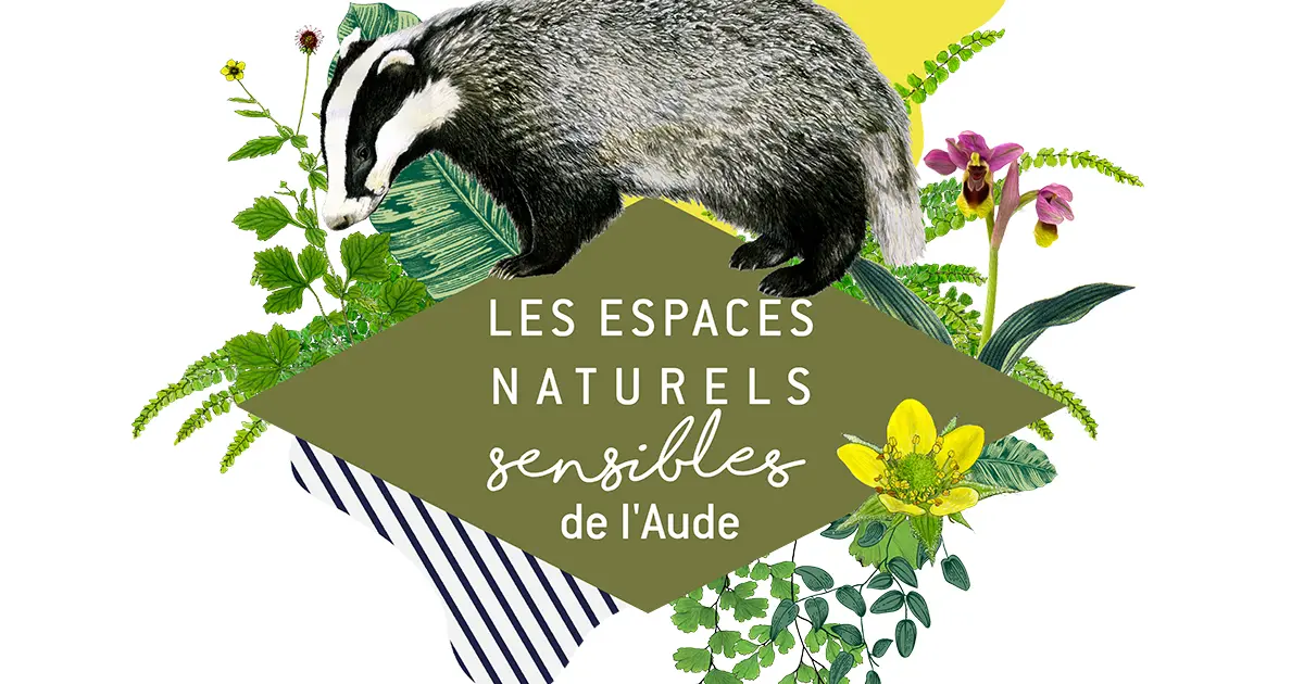 Leucate