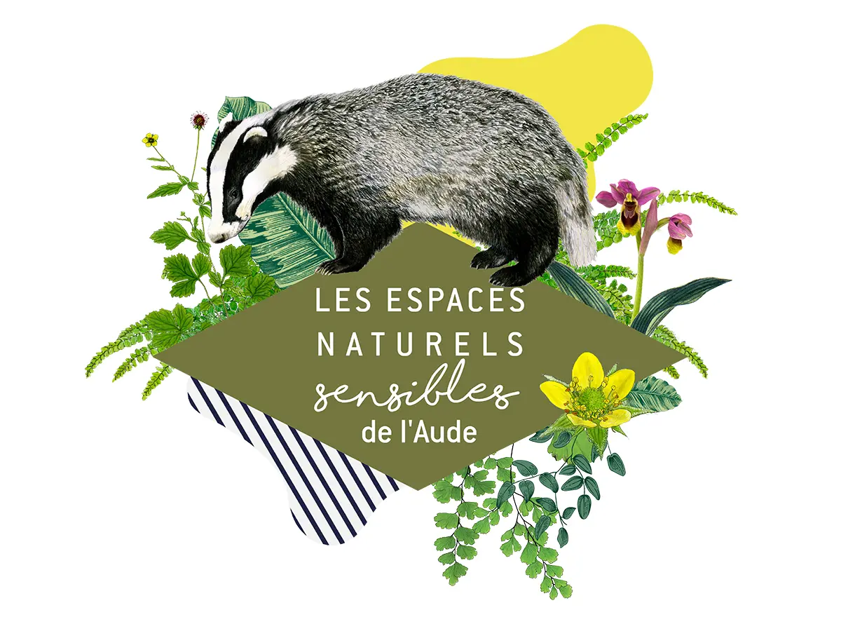 Ens - Empreintes Et Indices : Les Secrets De La Forêt