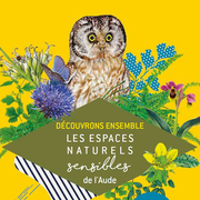 Ens - La Nuit De La Chauve-Souris