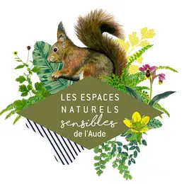 Ens - Les Arbres En Hiver