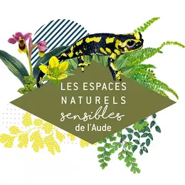 Ens - Quelle Est Cette Mousse ?
