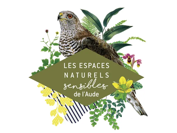Ens - Sortons Nos Jumelles Autour Du Grau De La Franqui