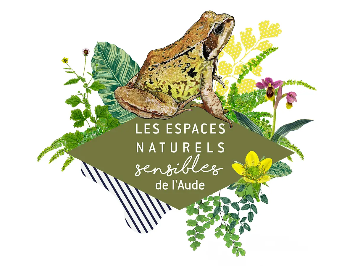 Ens - Sur Les Traces De L’eau : Paysages, Plantes Et Saveurs