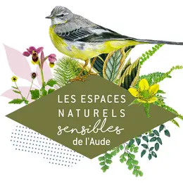 Ens - Un Air De Lavande Dans Les Collines