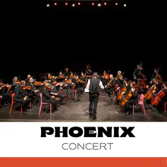 Ensemble Orchestral Phoenix