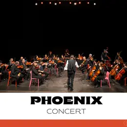 Ensemble Orchestral Phoenix