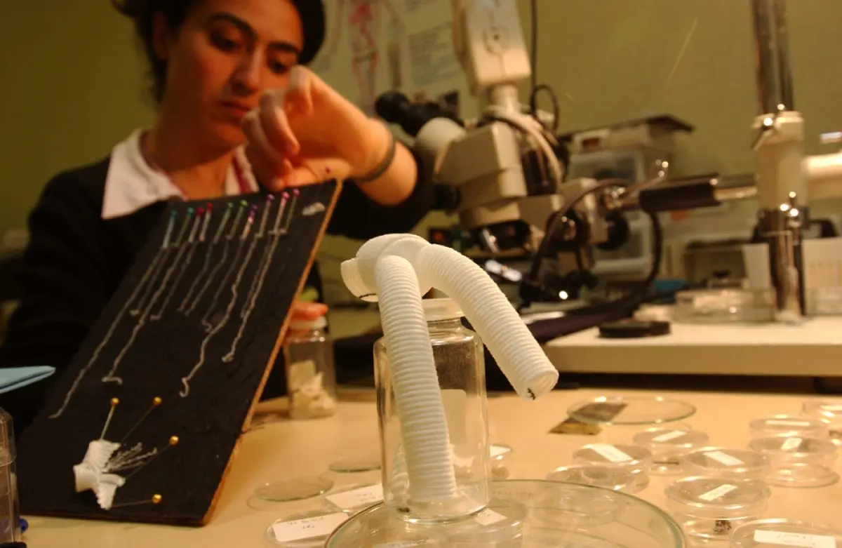 Dans le textile, on travaille désormais sur des prothèses obtenus à partir de fibres