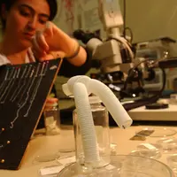 Dans le textile, on travaille désormais sur des prothèses obtenus à partir de fibres &copy; dr