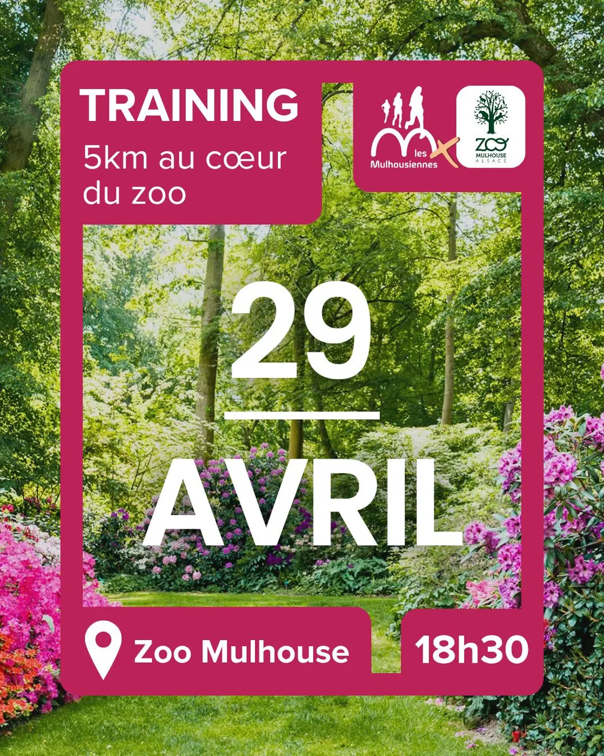 Entrainement 5 km Les Mulhousiennes au Zoo