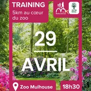 Entrainement 5 km Les Mulhousiennes au Zoo