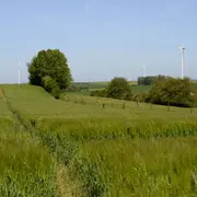 Entre champs et vallées