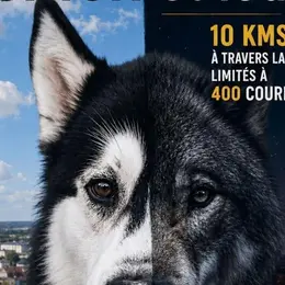 Entre chien et loups