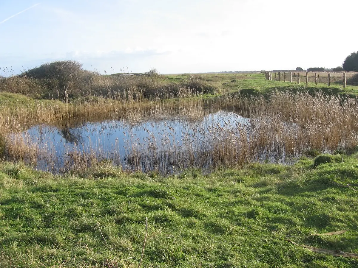 Entre dunes et marais