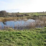 Entre dunes et marais