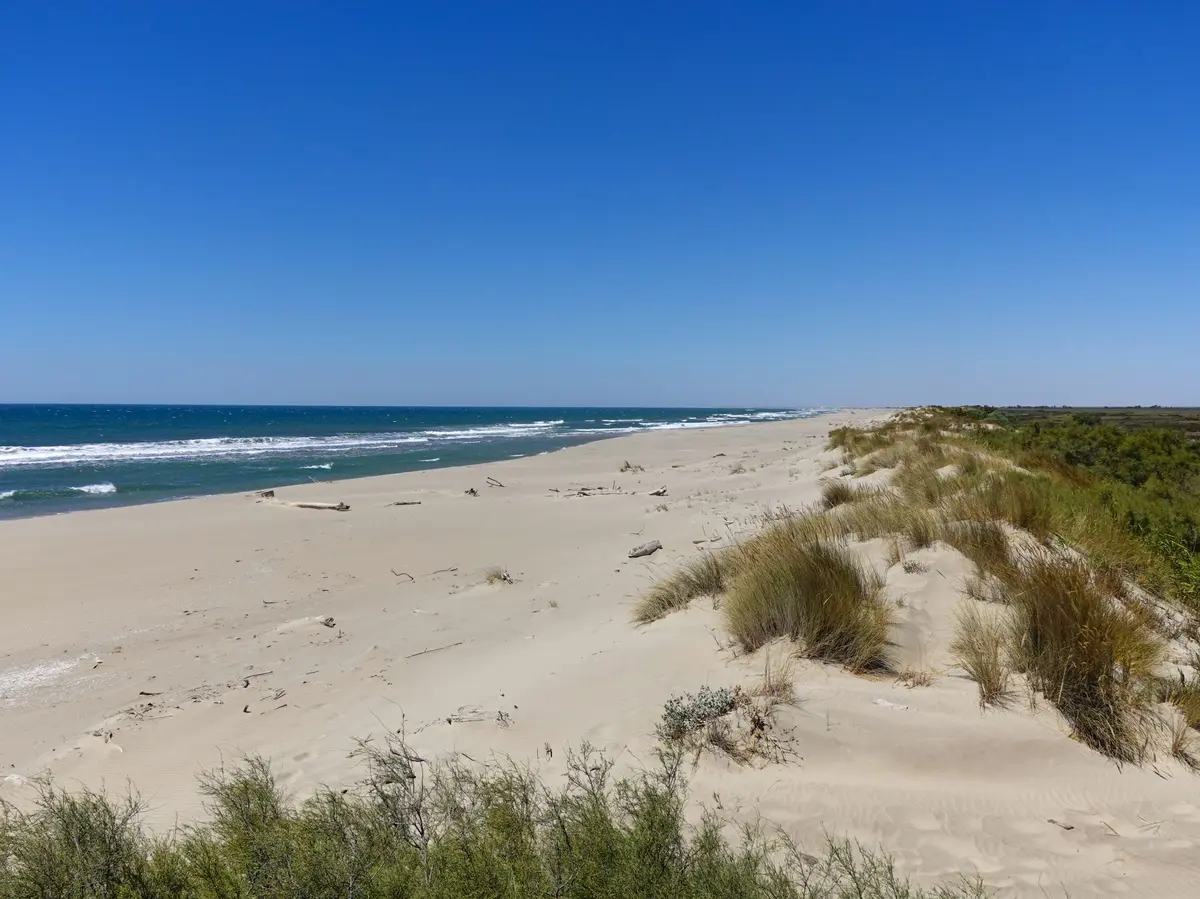 La plage de Piémanson en Camargue 