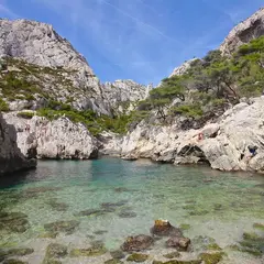 Entre Marseille, Cassis et la Camargue : les plages des Bouches-du-Rhône qui valent vraiment le détour