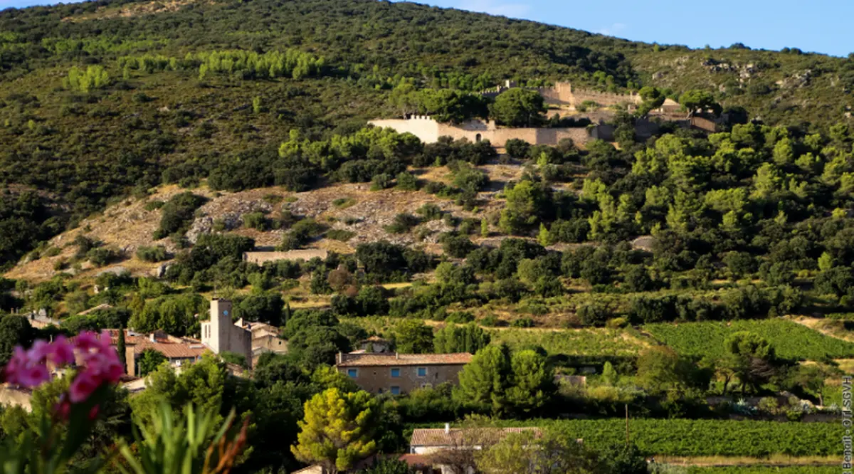 Entre Mémoire Des Pierres Et Savoir-Faire Vigneron