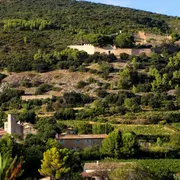 Entre Mémoire Des Pierres Et Savoir-Faire Vigneron