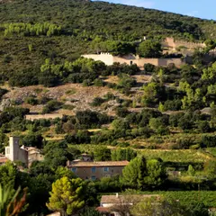 Entre Mémoire Des Pierres Et Savoir-Faire Vigneron