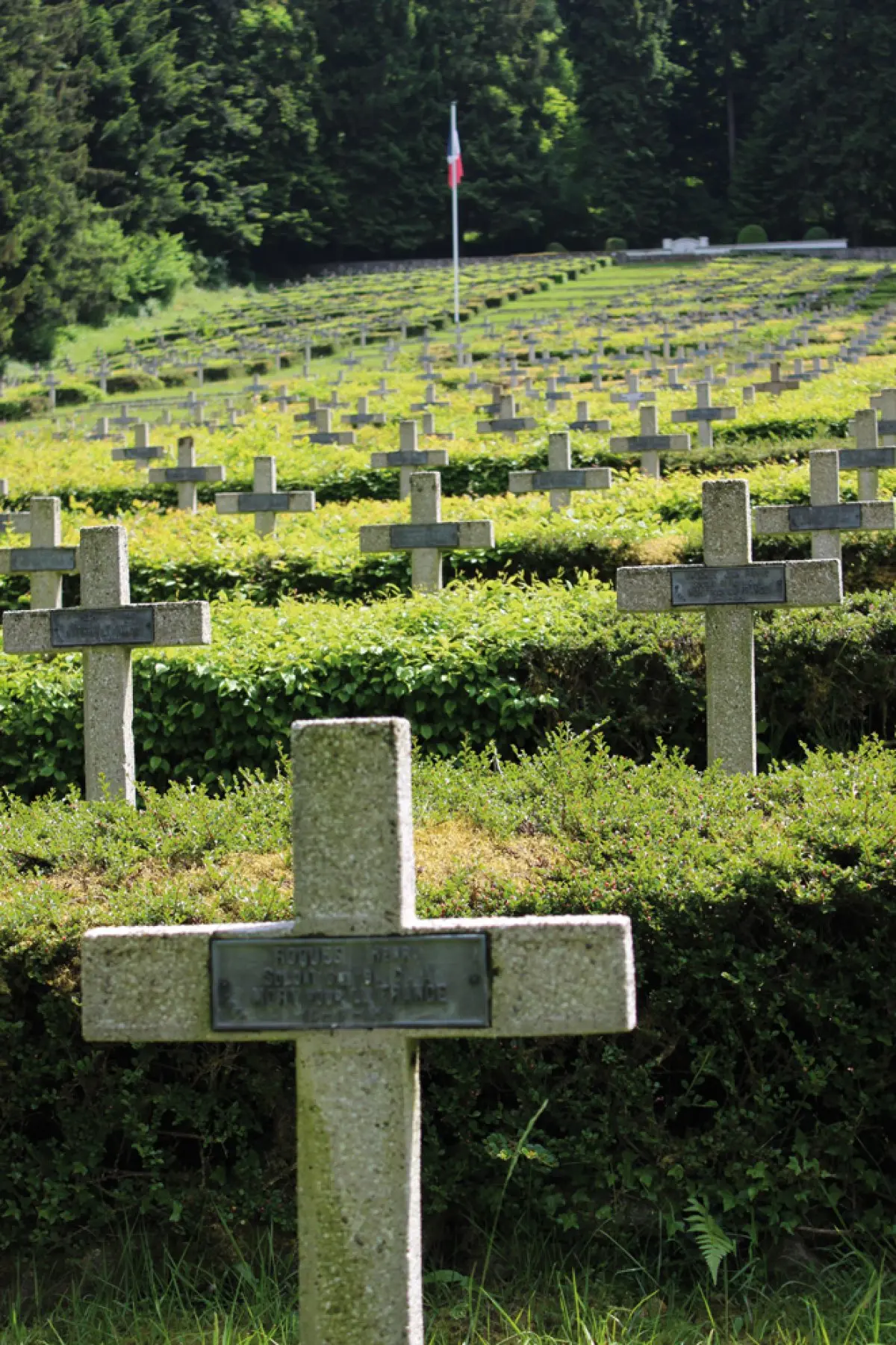 La nécropole nationale du Chêne Millet