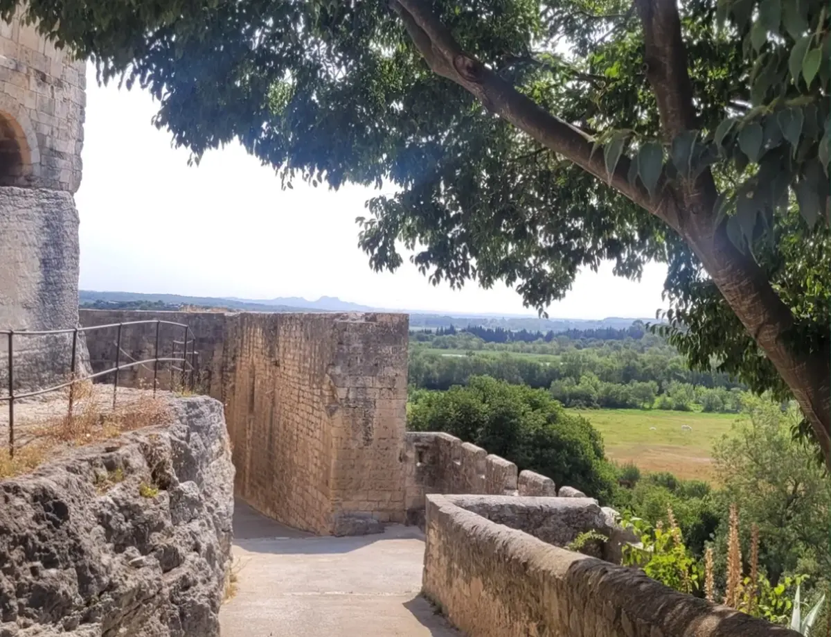 Entre Rhône et Alpilles, la Vallée des Baux un dialogue entre les humains et l’eau