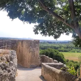 Entre Rhône et Alpilles, la Vallée des Baux un dialogue entre les humains et l’eau