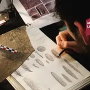 « entre Terrain Et Laboratoire : Reconstituer La Flore Du Permien De Lodève »